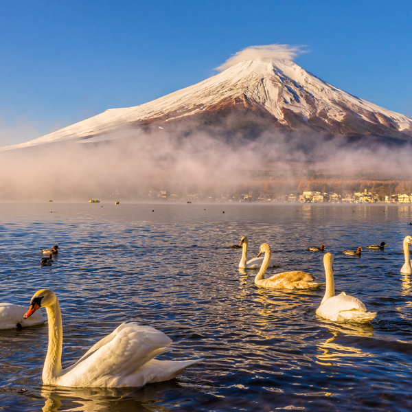 Góra Fuji